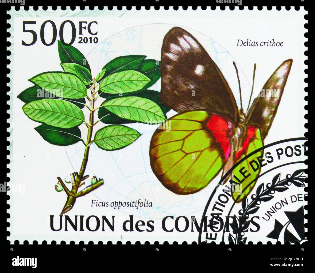 MOSCOW, RUSSIA - JUNE 17, 2022: Postage stamp printed in Comoros shows Butterfly (Delias crithoe), Butterflies of the Indian Ocean Region serie, circa Stock Photo