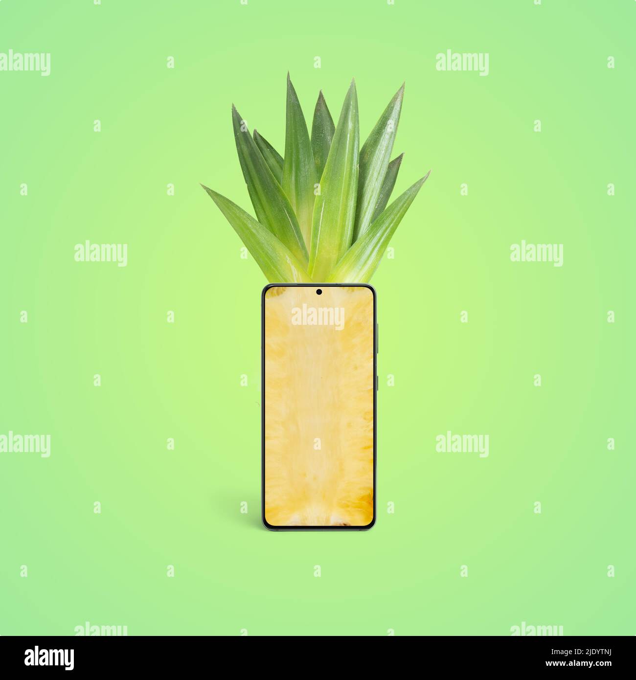 Phone like a pineapple. The display shows the juicy inside of the pineapple, above are the leaves like hair. Creactive conceptual composition on paste Stock Photo