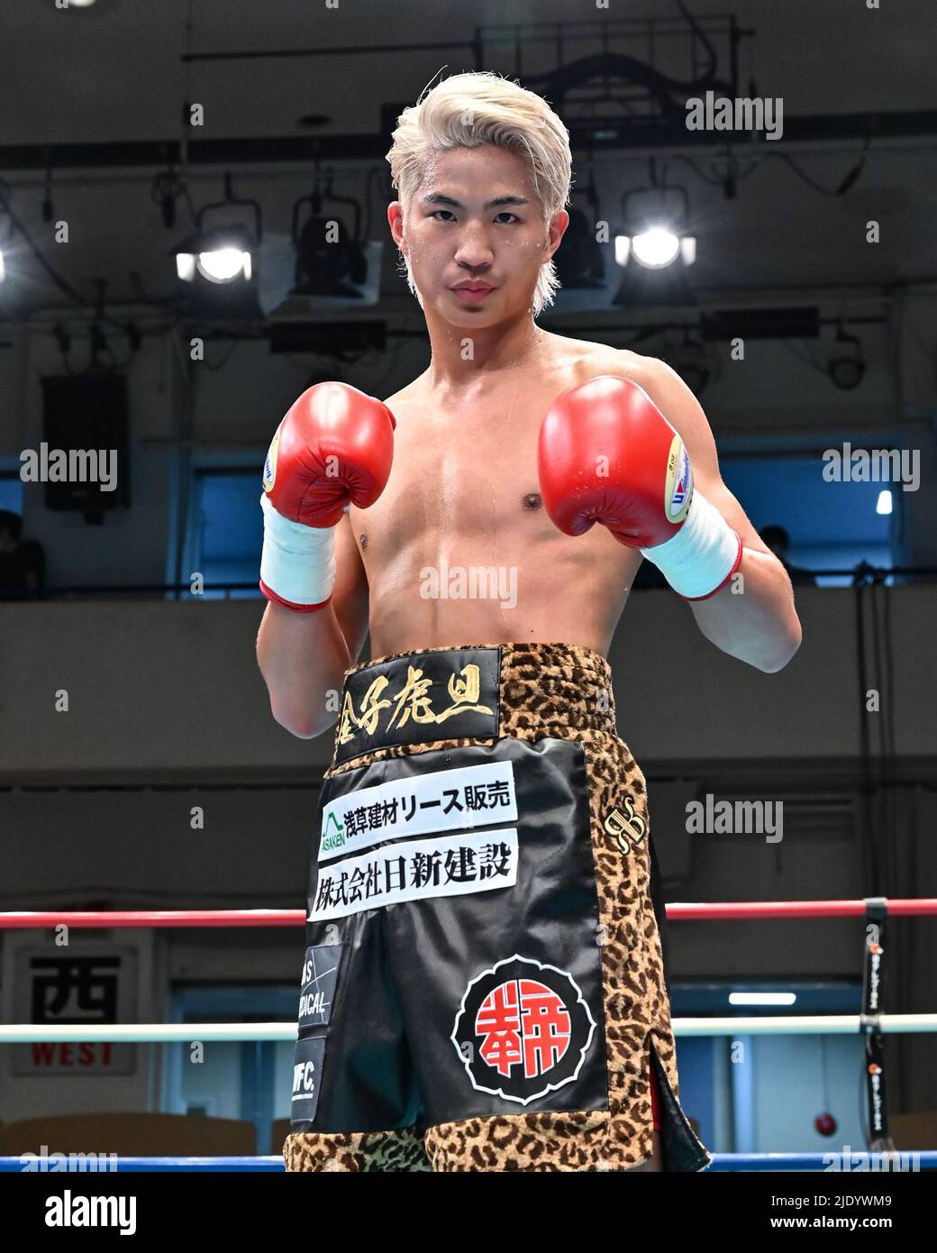 Kota Kaneko