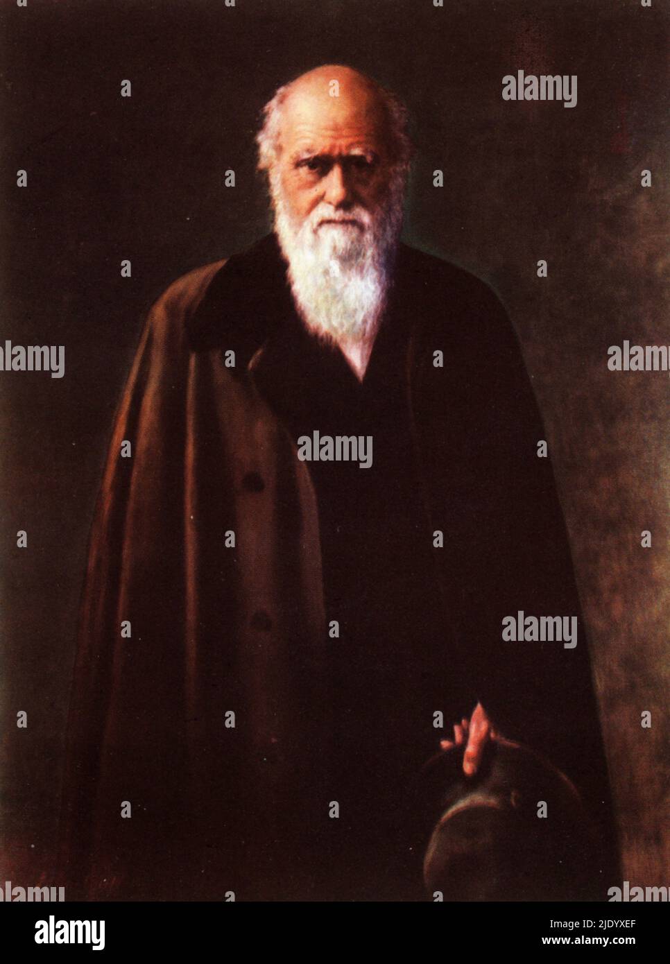 Charles Darwin (1809-1882), 1883. By John Collier (1850-1934). English naturalist, geologist and biologist, best known for his contributions to evolutionary biology. Stock Photo