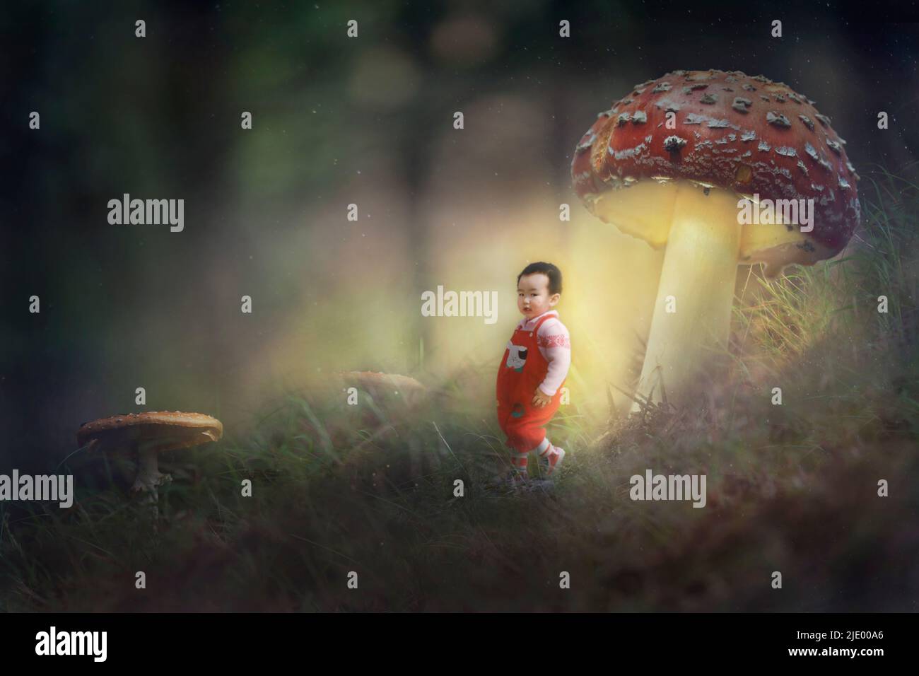 Composite image of a boy walking under glowing mushrooms in the forest. A fantasy fairy-tale image. Stock Photo