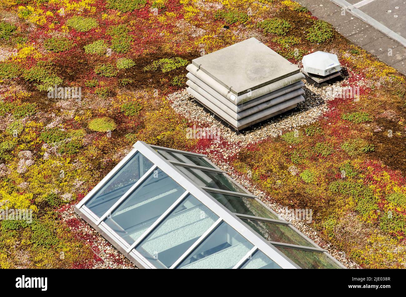 Colorful roof with variants kinds of sedum, a roof light and ventilation machinery Stock Photo
