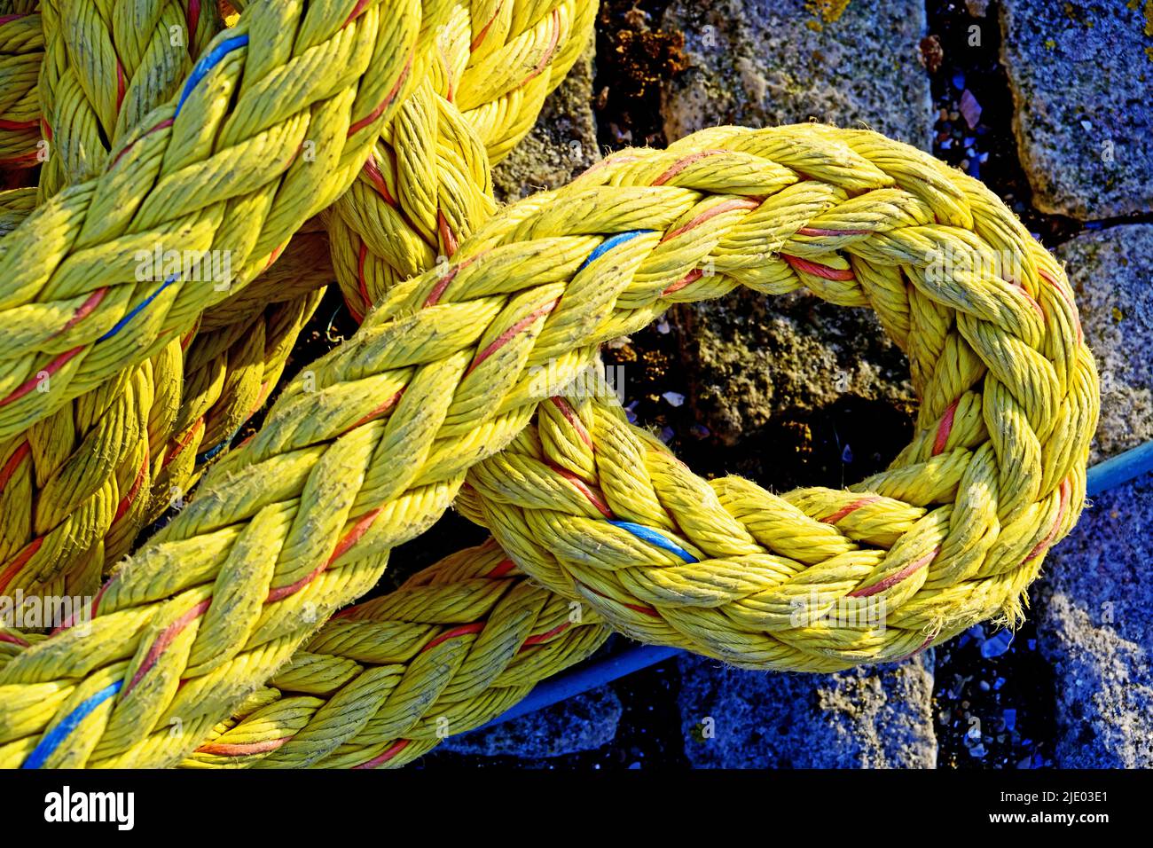 Coil of yellow nylon docking rope Stock Photo