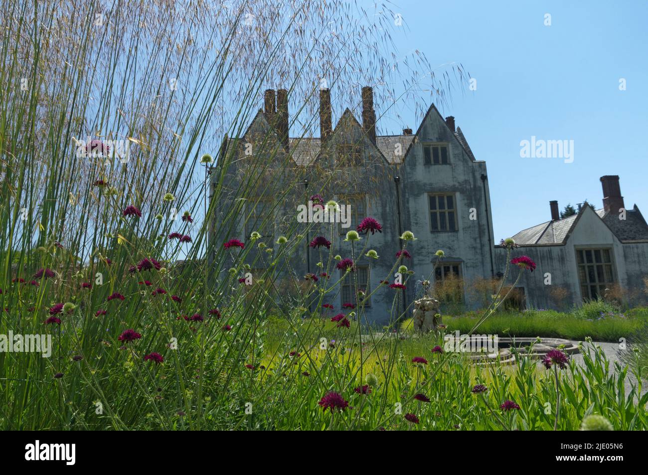 Saint Fagan's Castle seen through ornamental grasses and flowers at St