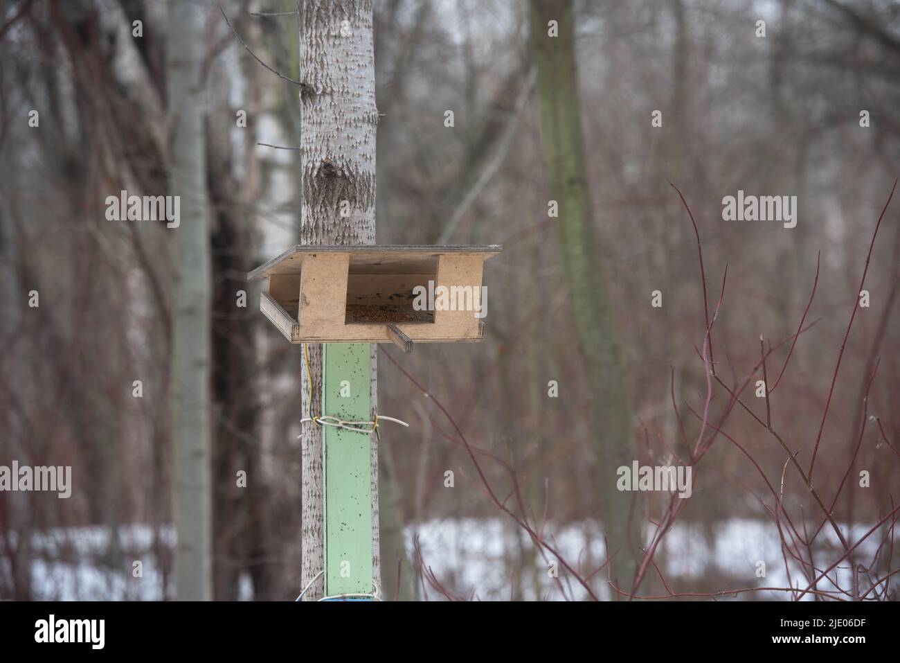 Wooden bird feeder on tree at the park Stock Photo