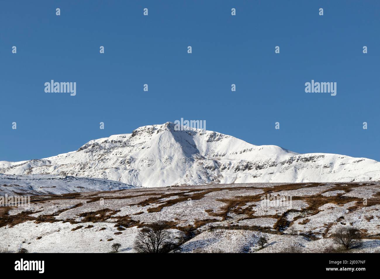Wild Boar Fell in Winter Viewed from Mallerstang Common, Cumbria, UK Stock Photo