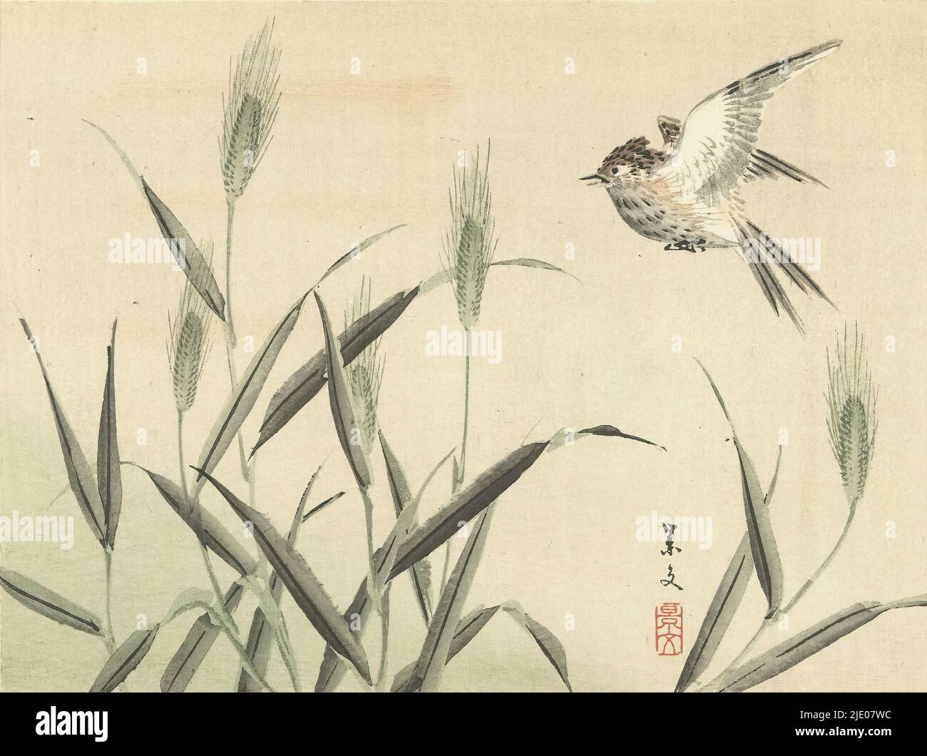 Bird flying at grasses, Flower and bird sketches of Keibun- part one (series title), Keibun kacho gafu zenpen (series title on object), print maker: Matsumura Keibun, (mentioned on object), printer: Aoki Kôsaburô, publisher: Aoki Kôsaburô, (mentioned on object), print maker: Japan, printer: Osaka, publisher: Osaka, Jul-1892, paper, color woodcut, height 208 mm × width 272 mm Stock Photo