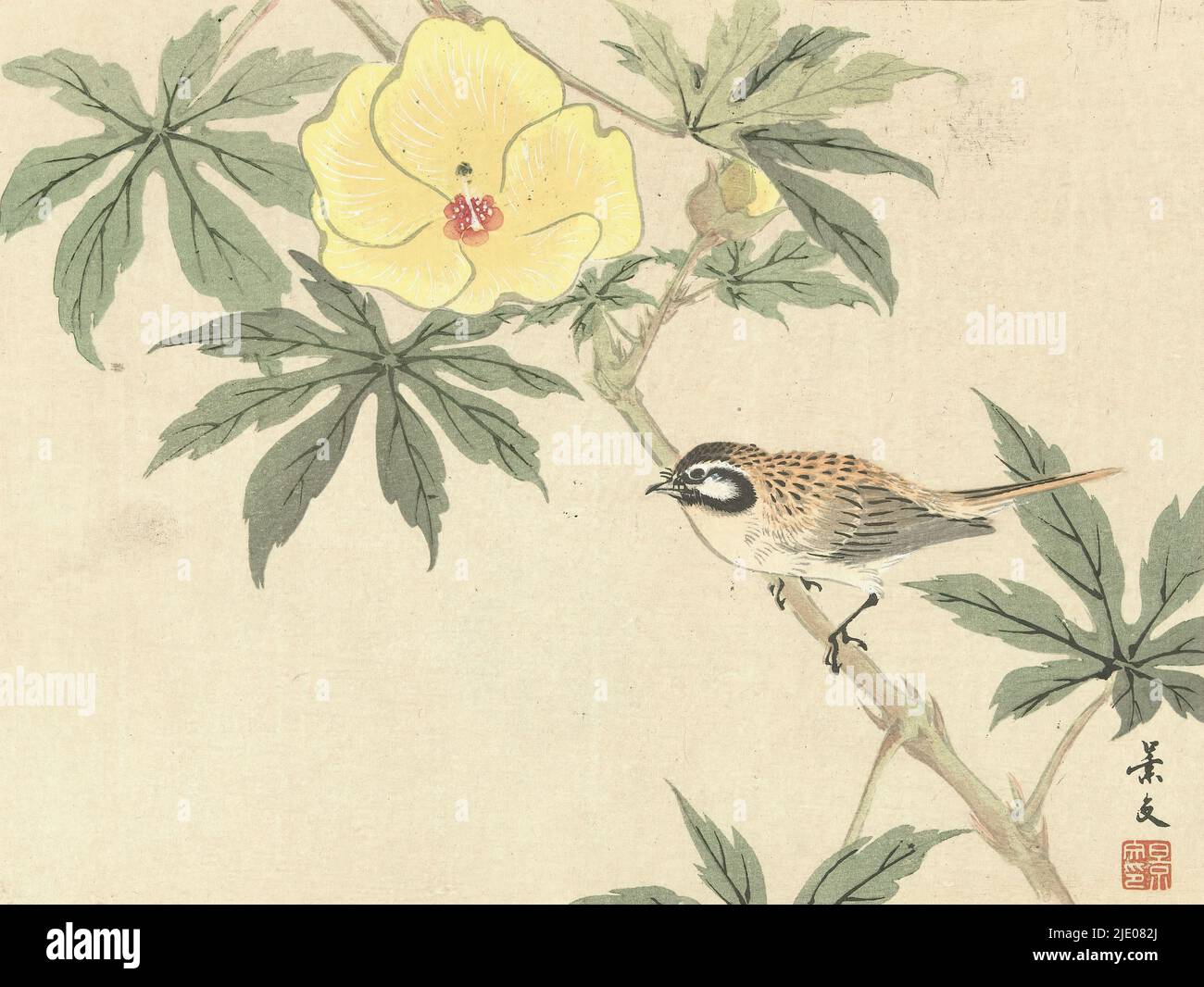 Bird on branch with yellow flower, Floral and bird sketches from Keibun- part three (series title), Keibun kacho gafu kohen (series title on object), print maker: Matsumura Keibun, (mentioned on object), printer: Aoki Kôsaburô, publisher: Aoki Kôsaburô, (mentioned on object), print maker: Japan, printer: Osaka, publisher: Osaka, Oct-1892, paper, color woodcut, height 209 mm × width 270 mm Stock Photo