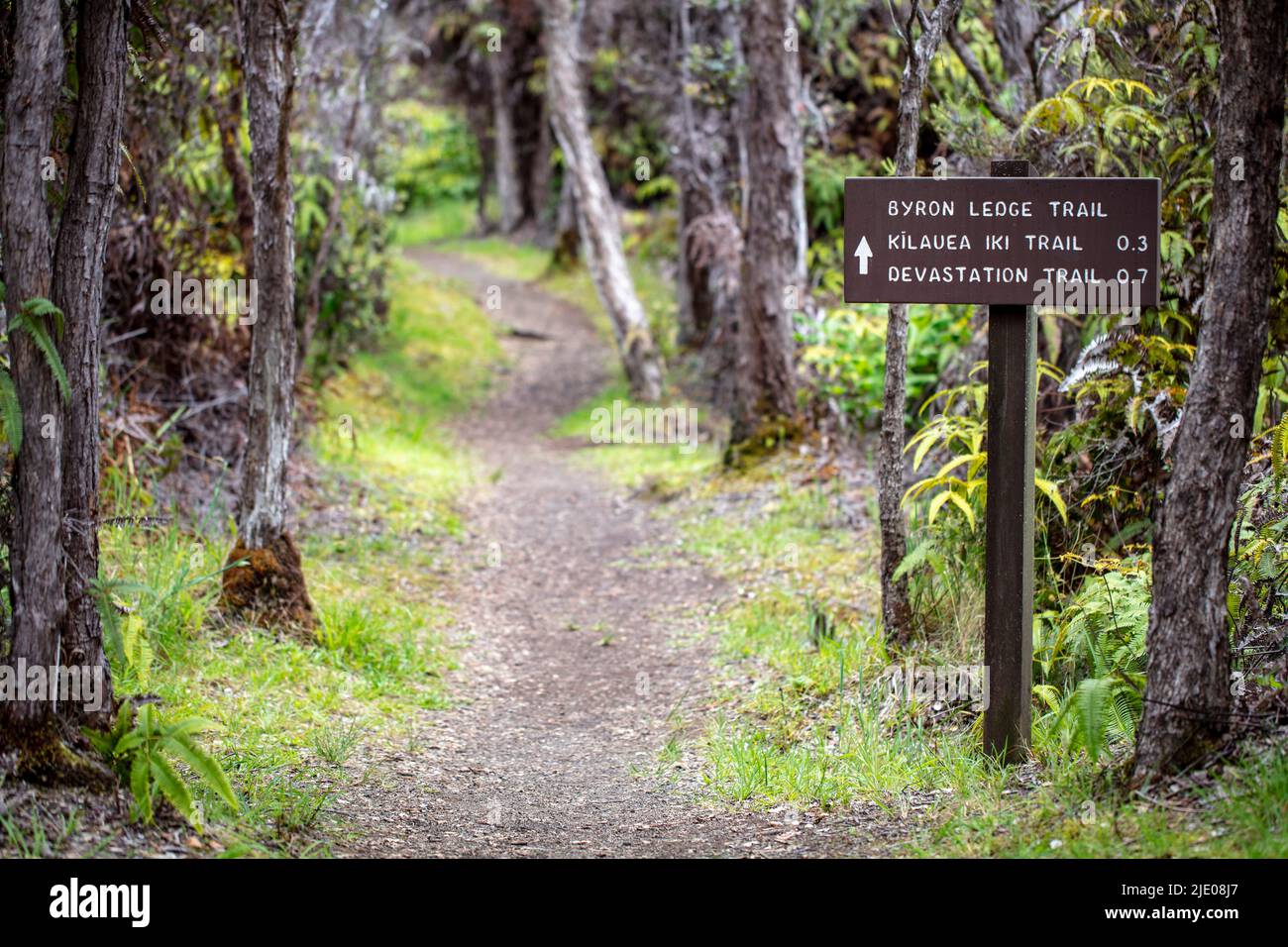 The Halemaumau Trail Into the Volcano and Byron Ledge Trail, down to ...