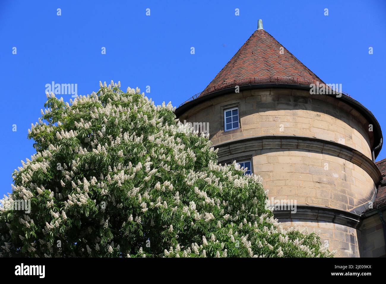 Old Palace, Southwest Tower, State Capital Stuttgart, Baden ...
