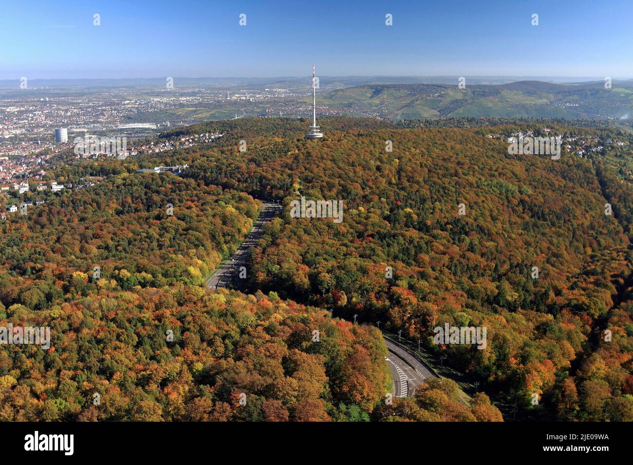 Stuttgart city forest in autumn hi-res stock photography and images - Alamy