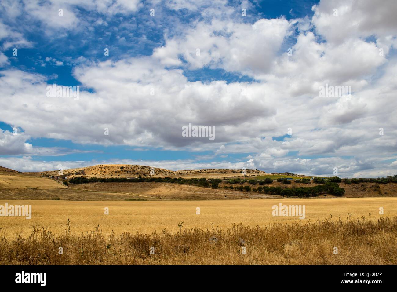 Landscape and nature in south Spain during summer time, Spain is home 