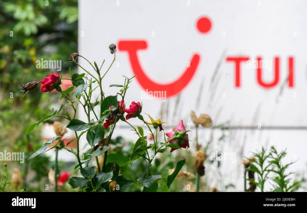Hanover, Germany. 24th June, 2022. Roses grow in front of Tui AG's