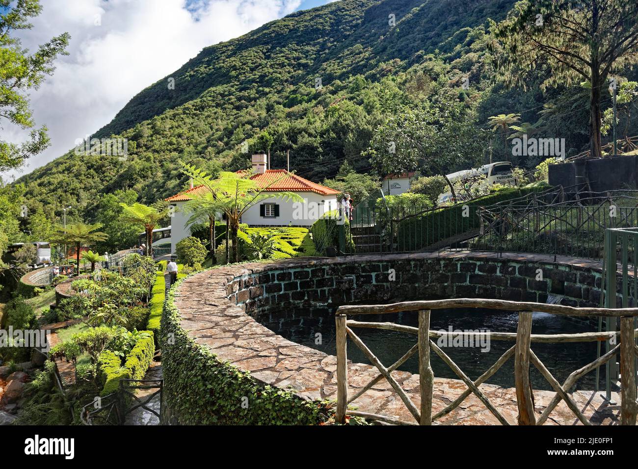 Trout farm, Fish farm, Ribeiro Frio, Cold stream, House, Tree fern (Cyathea spp.), Madeira, officially Autonomous Region of Madeira, Island Stock Photo