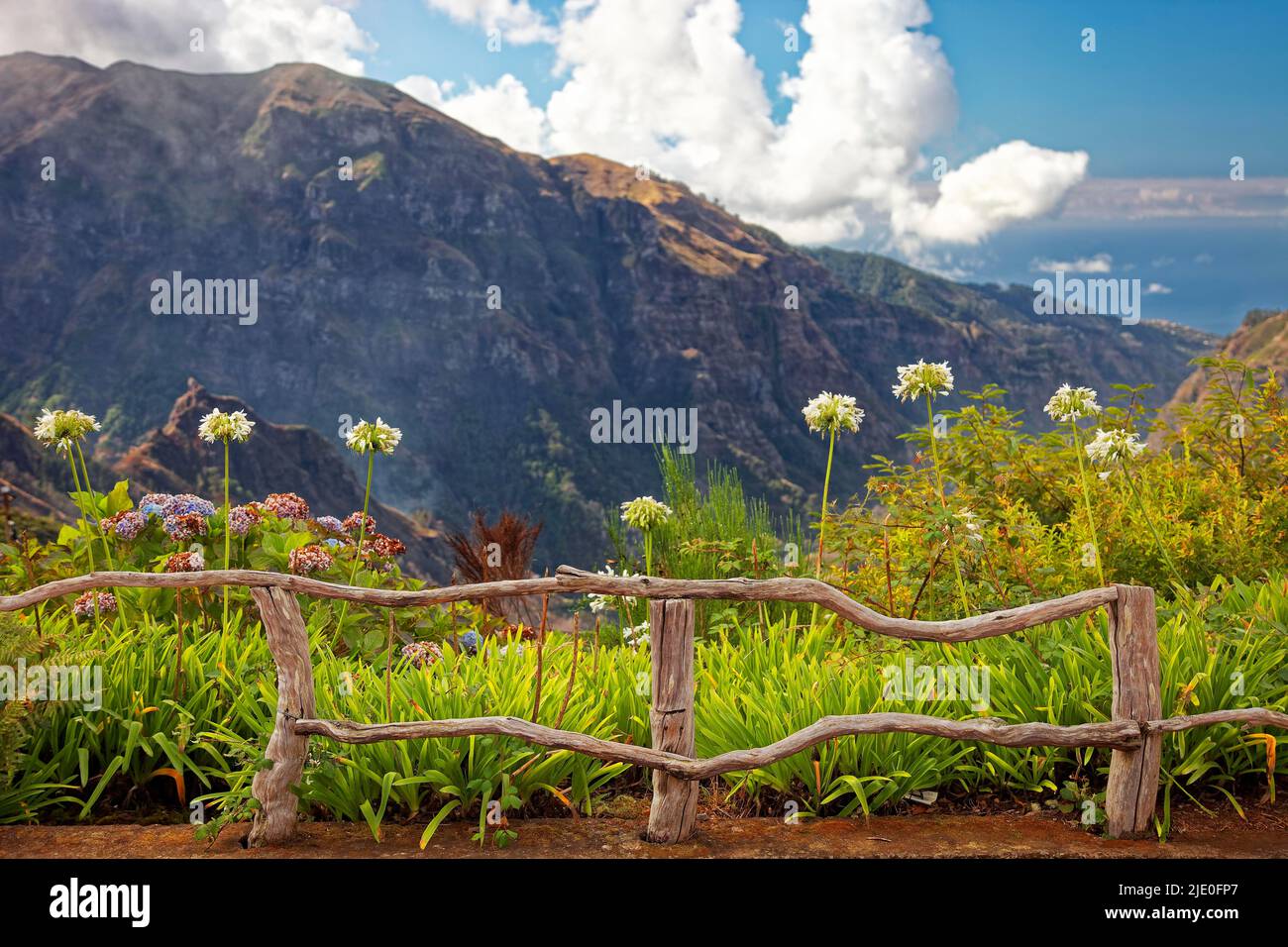 Fence, railing, gnarled, quaint, blue lily (Agapanthus africanus), white, Curral das Freias valley, Nuns' Convent, Madeira, officially Autonomous Stock Photo