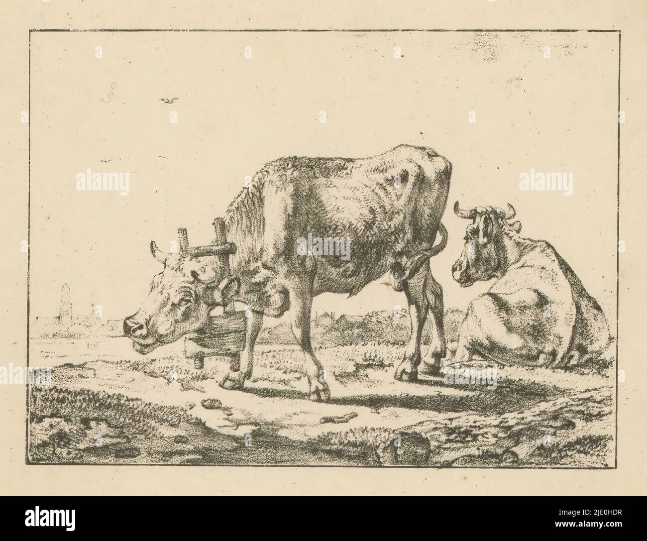 Two cattle in a meadow, In the foreground a young bull to the left with a neck yoke around his neck. To its right a cow lying on its back seen. In the background on the left, a church., print maker: anonymous, 1809 - c. 1850, paper, height 216 mm × width 272 mm Stock Photo