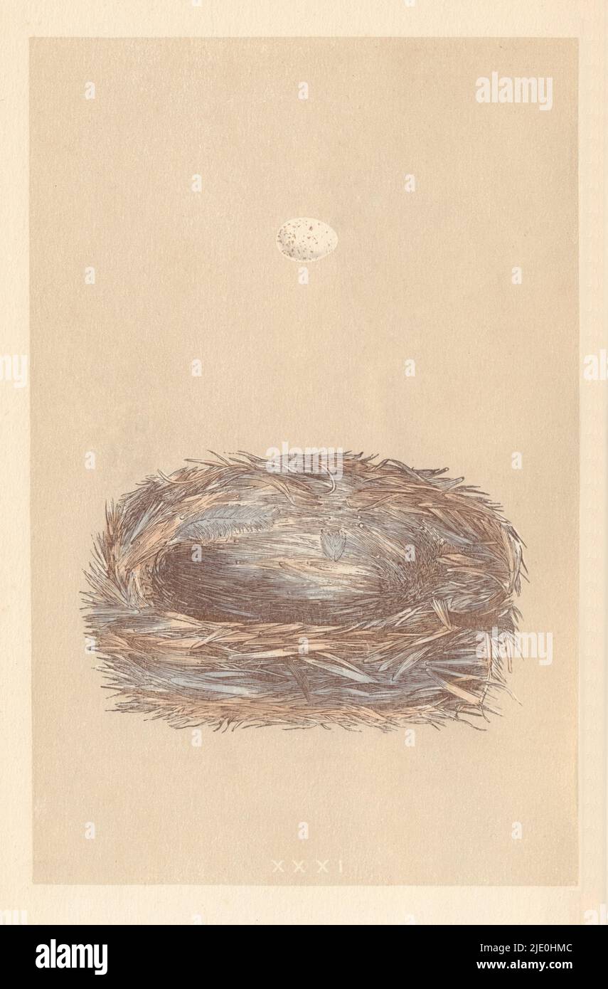 Bill Skinner Cole Tit English Bird Stud Oorbellen