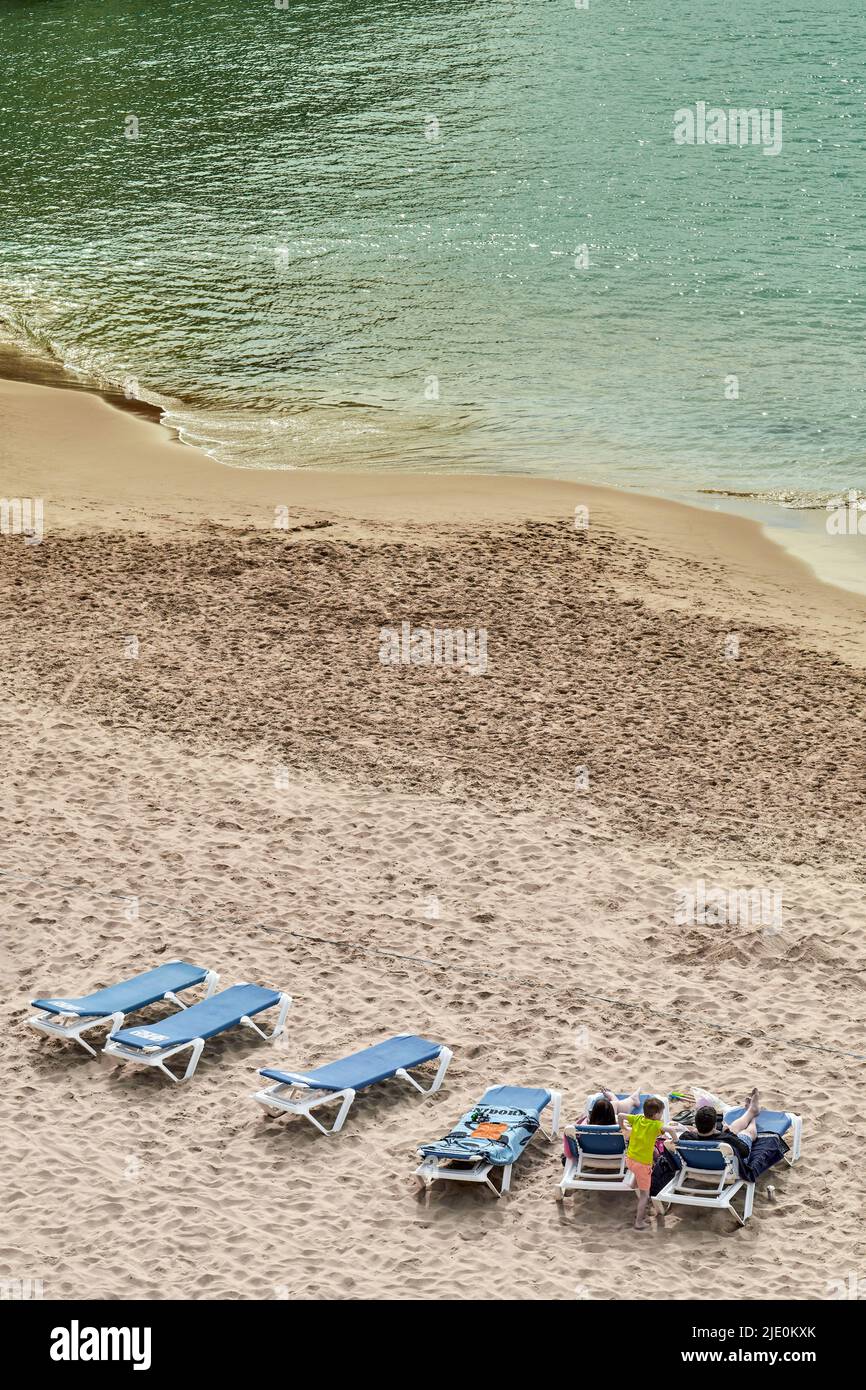 aerial view of the small sandy Mal Pas Beach in a place sheltered by palm trees with blue sun loungers in Benidorm, Alicante, Spain, Europe Stock Photo