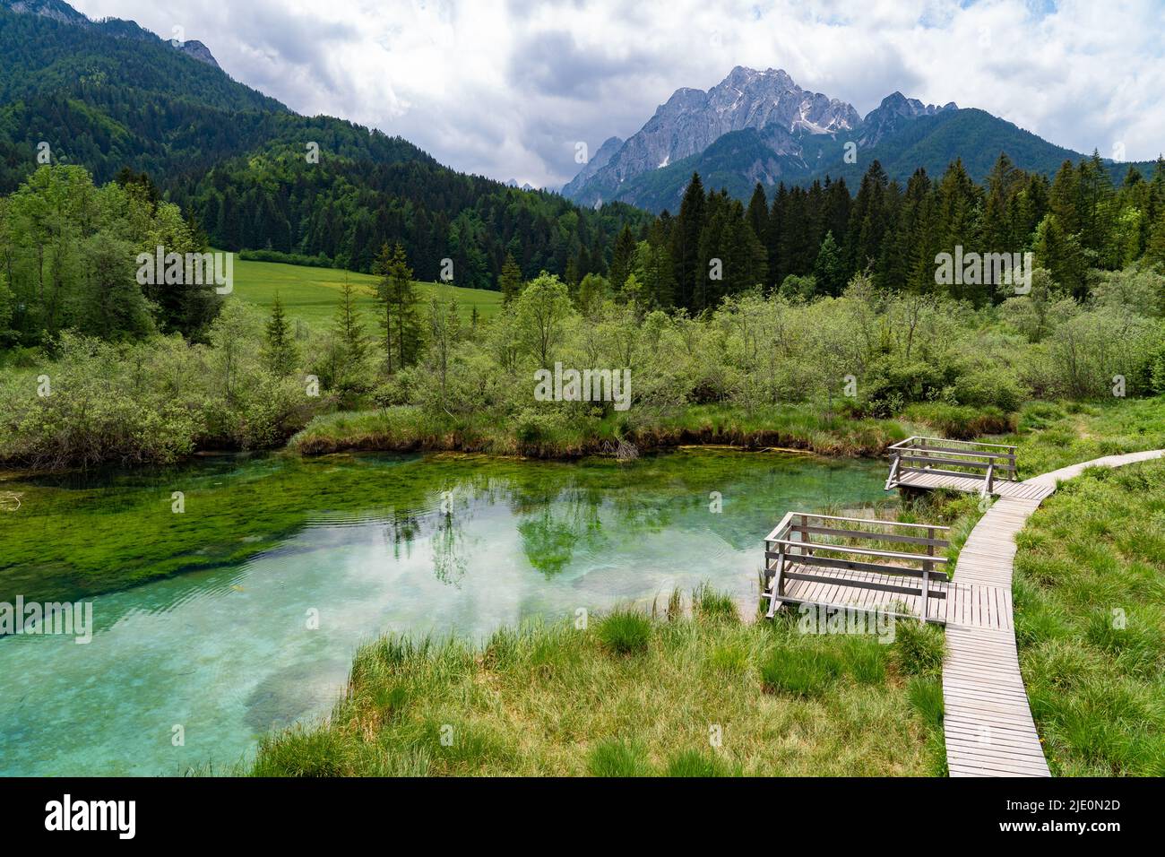 The source of river Save in Slovenia Stock Photo