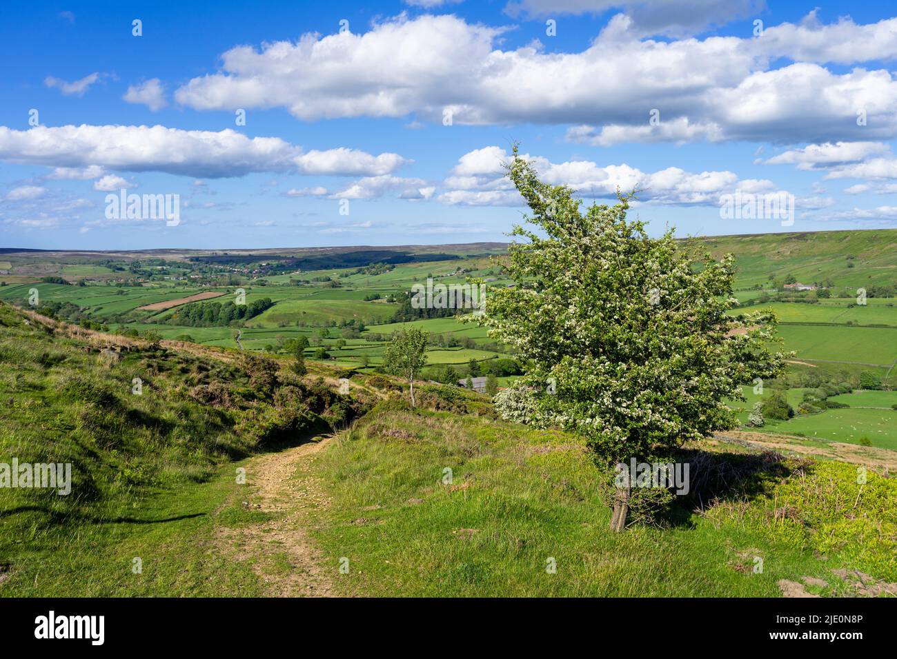 North York Moors and view of green fields farmland and moors from Blakey Ridge North York Moors national park North Yorkshire England UK GB Europe Stock Photo