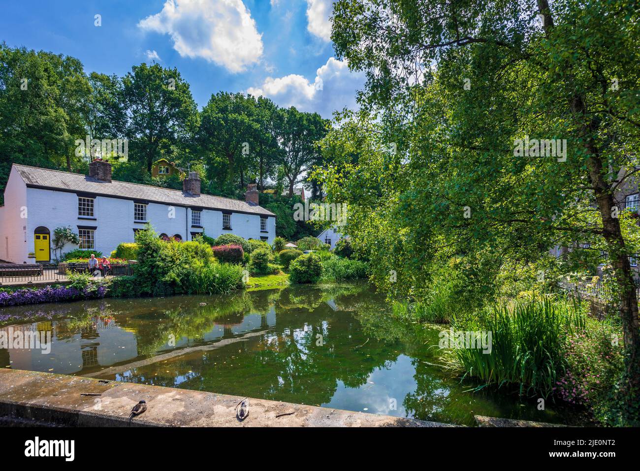 White washed cottages by the pool in the Dingle, Lymm Cheshire. Stock Photo