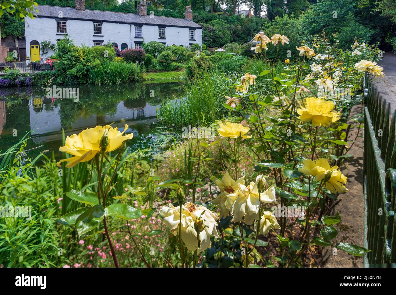 White washed cottages by the pool in the Dingle, Lymm Cheshire. Stock Photo