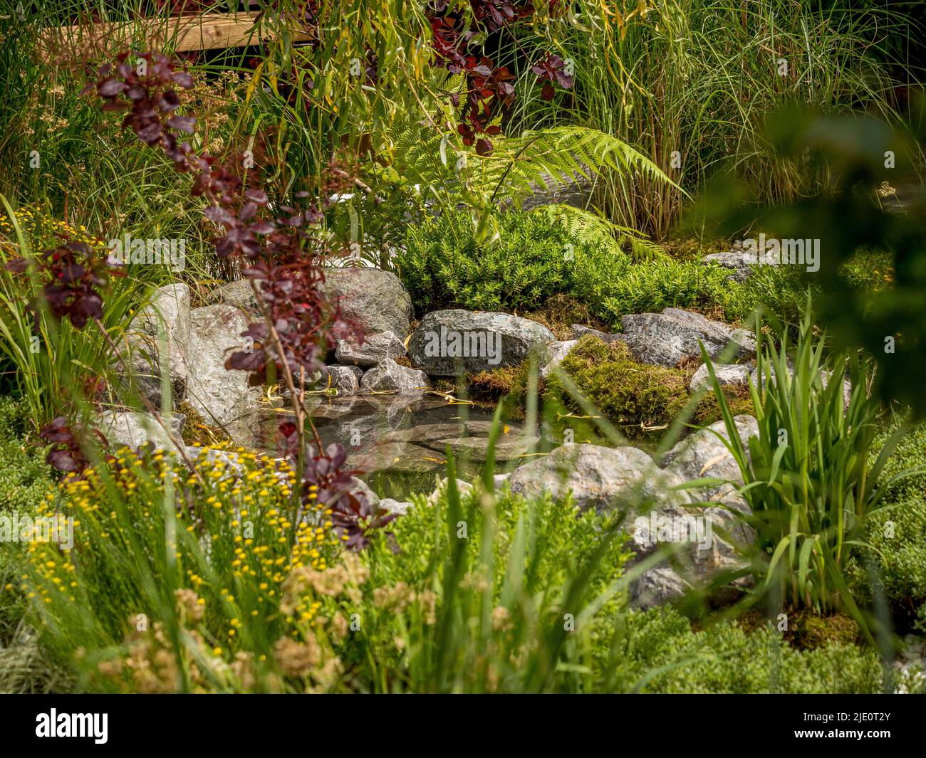 Small water feature garden hi-res stock photography and images - Alamy