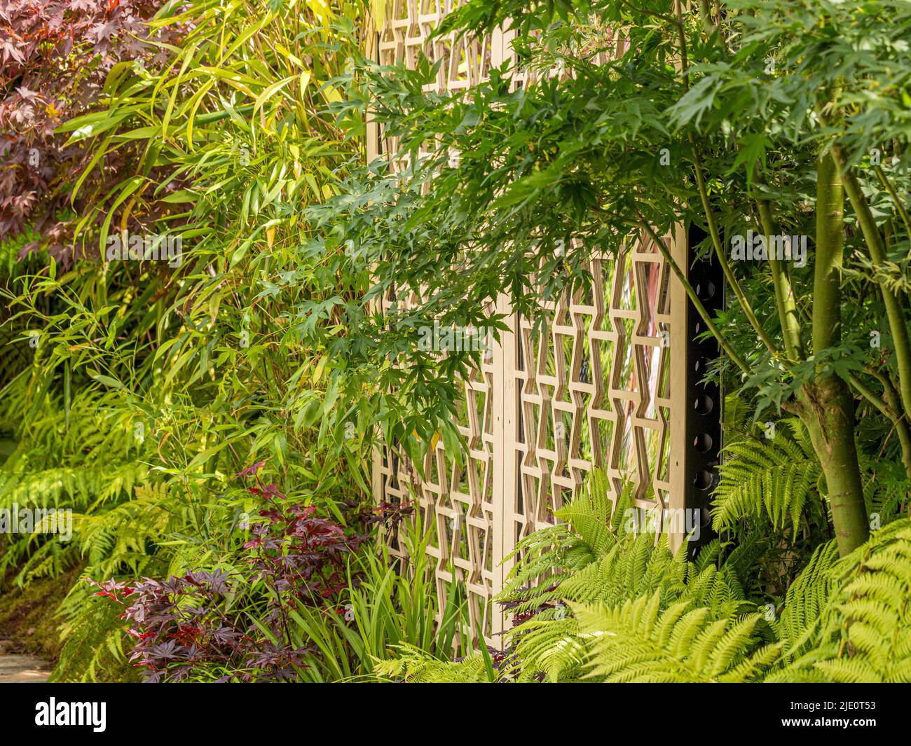 Contemporary wooden screening in a UK garden Stock Photo - Alamy