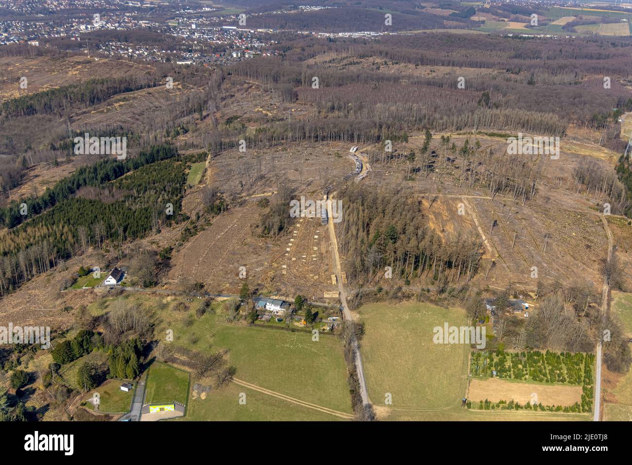 Aerial photograph, forest area with forest damage in Neheim, Arnsberg, Sauerland, North Rhine-Westphalia, Germany, tree death, bark beetle damage, bar Stock Photo