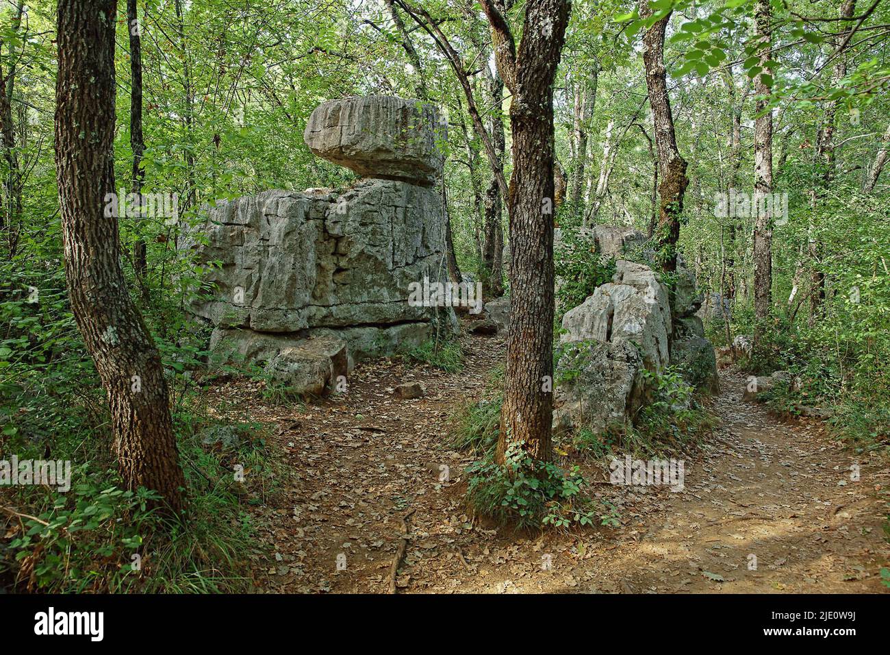 France, Ardèche Païolive woods with rocky chaos Stock Photo