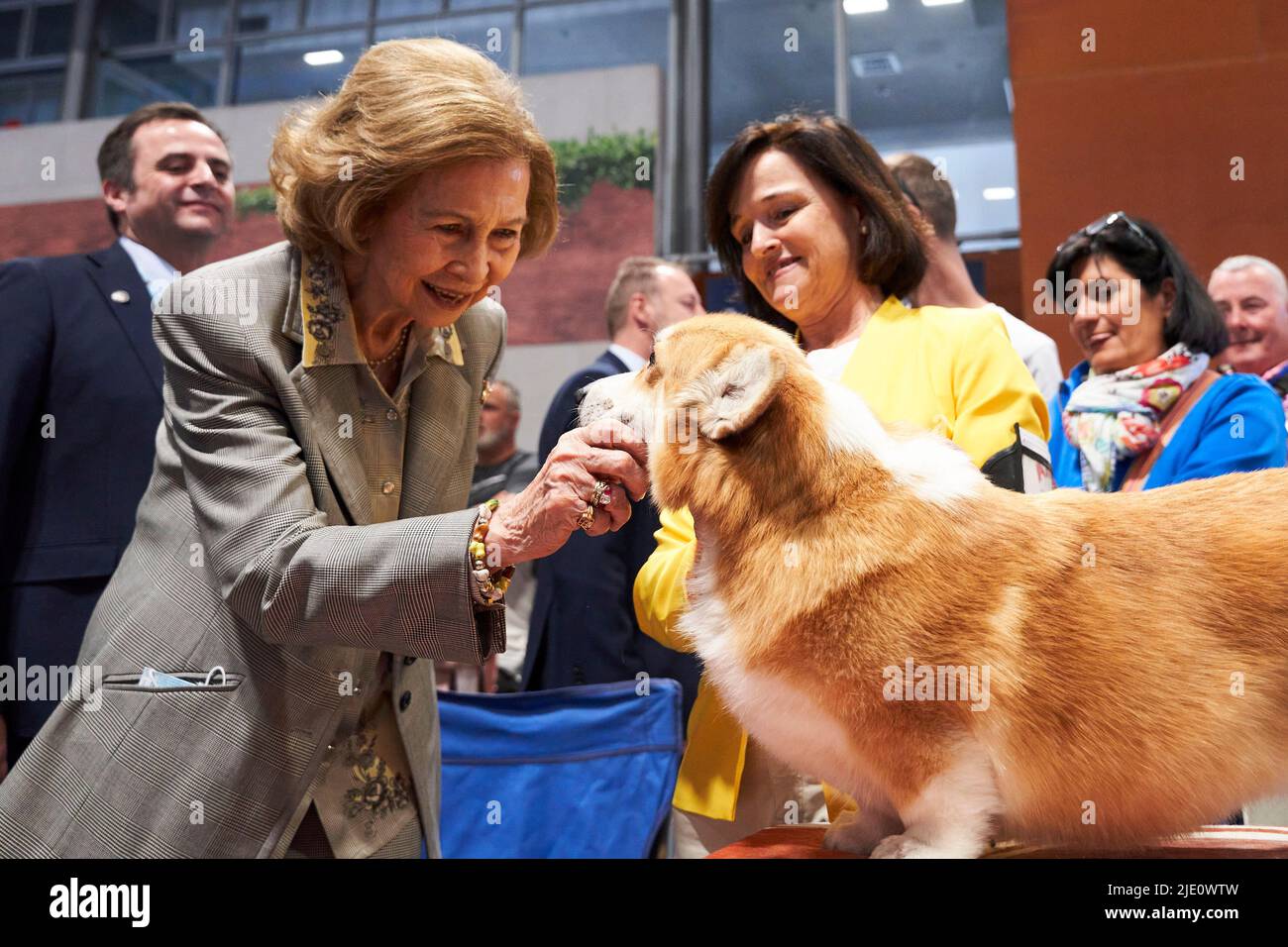 Madrid. Spain. 20220624,  The former Queen Sofia attends  the opening of the World Dog Show trade fair at IFEMA on June 24, 2022 in Madrid, Spain   In the pic, The former Queen Sofia caresses and takes interest in Pembroke Welsh Corgi the same breed of the dogs of Queen Elizabeth II of the United Kingdom of Great Britain and Northern Ireland Stock Photo