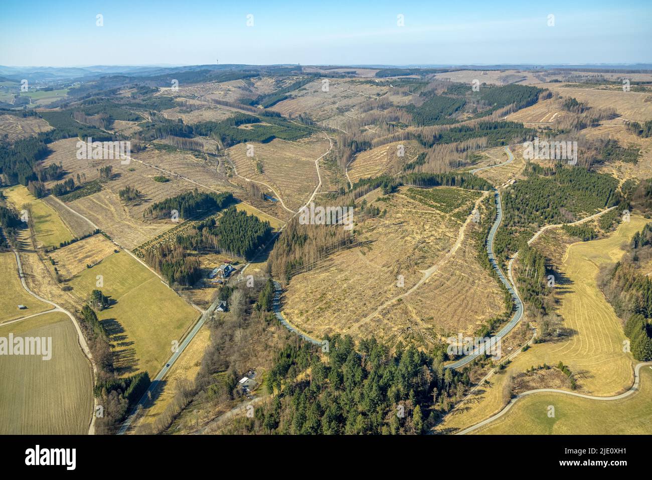 Aerial view, forest area with forest damage north of Nuttlar, Altes Forsthaus on the state road L776, Bestwig, Sauerland, North Rhine-Westphalia, Germ Stock Photo