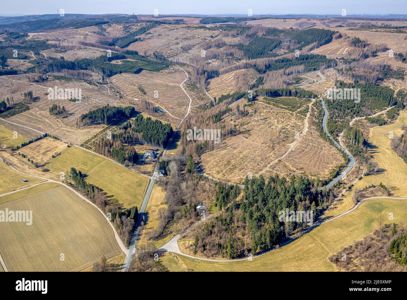 Aerial view, forest area with forest damage north of Nuttlar, Altes Forsthaus on the state road L776, Bestwig, Sauerland, North Rhine-Westphalia, Germ Stock Photo