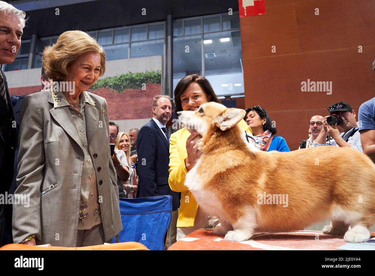 Madrid, Madrid, Spain. 24th June, 2022. The former Queen Sofia attends the opening of the World Dog Show trade fair at IFEMA on June 24, 2022 in Madrid, Spain .In the pic, The former Queen Sofia caresses and takes interest in Pembroke Welsh Corgi the same breed of the dogs of Queen Elizabeth II of the United Kingdom of Great Britain and Northern Ireland (Credit Image: © Jack Abuin/ZUMA Press Wire) Stock Photo