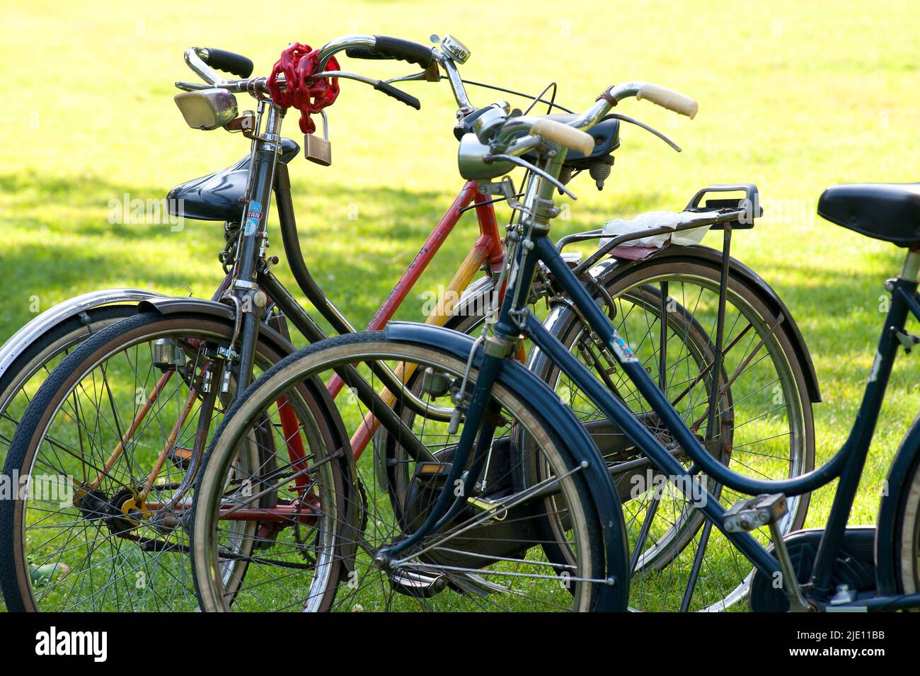 Milan, Sempione Park, bicycles. Stock Photo