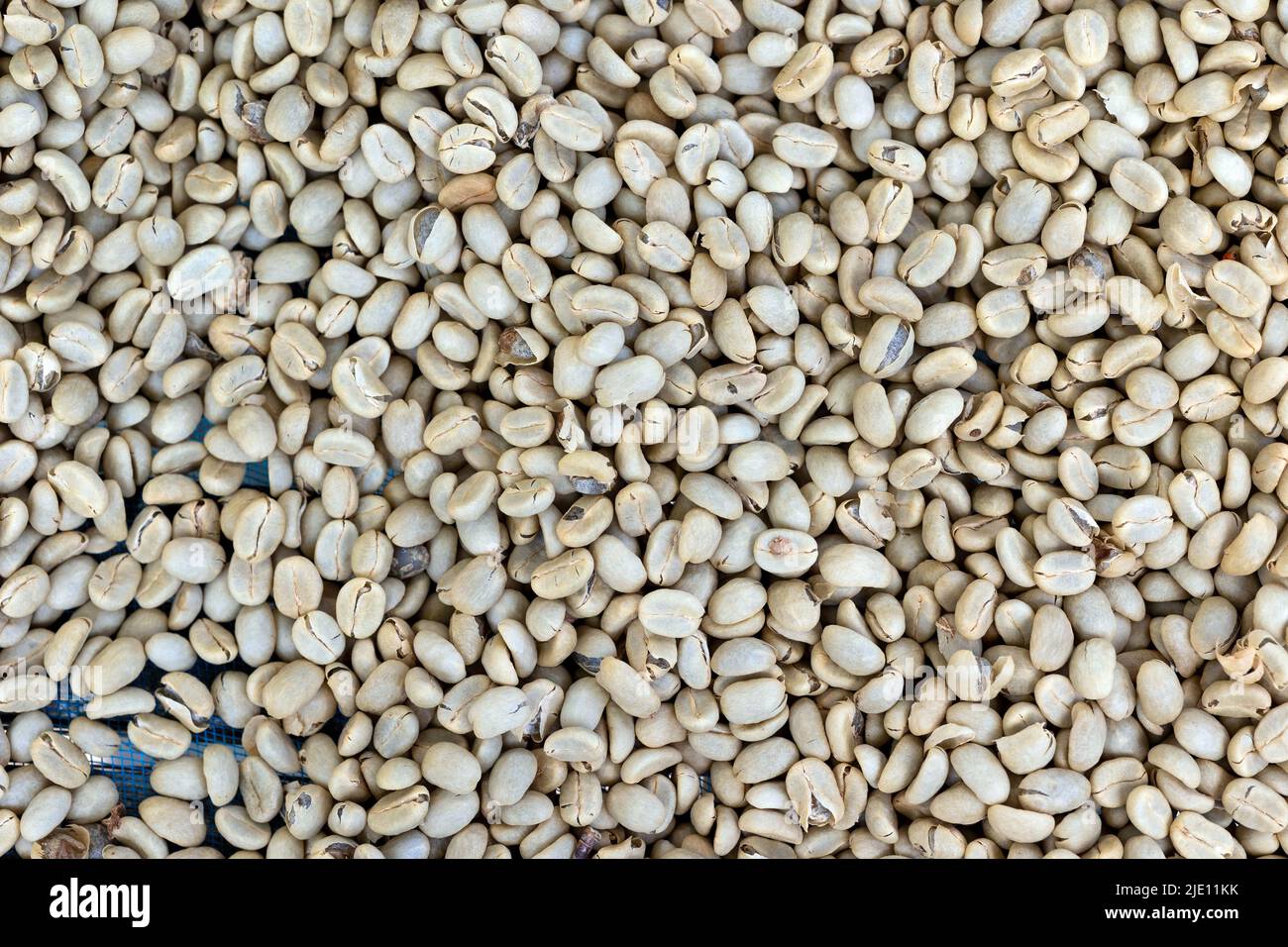 Background of fresh coffee grains drying under the sun Stock Photo