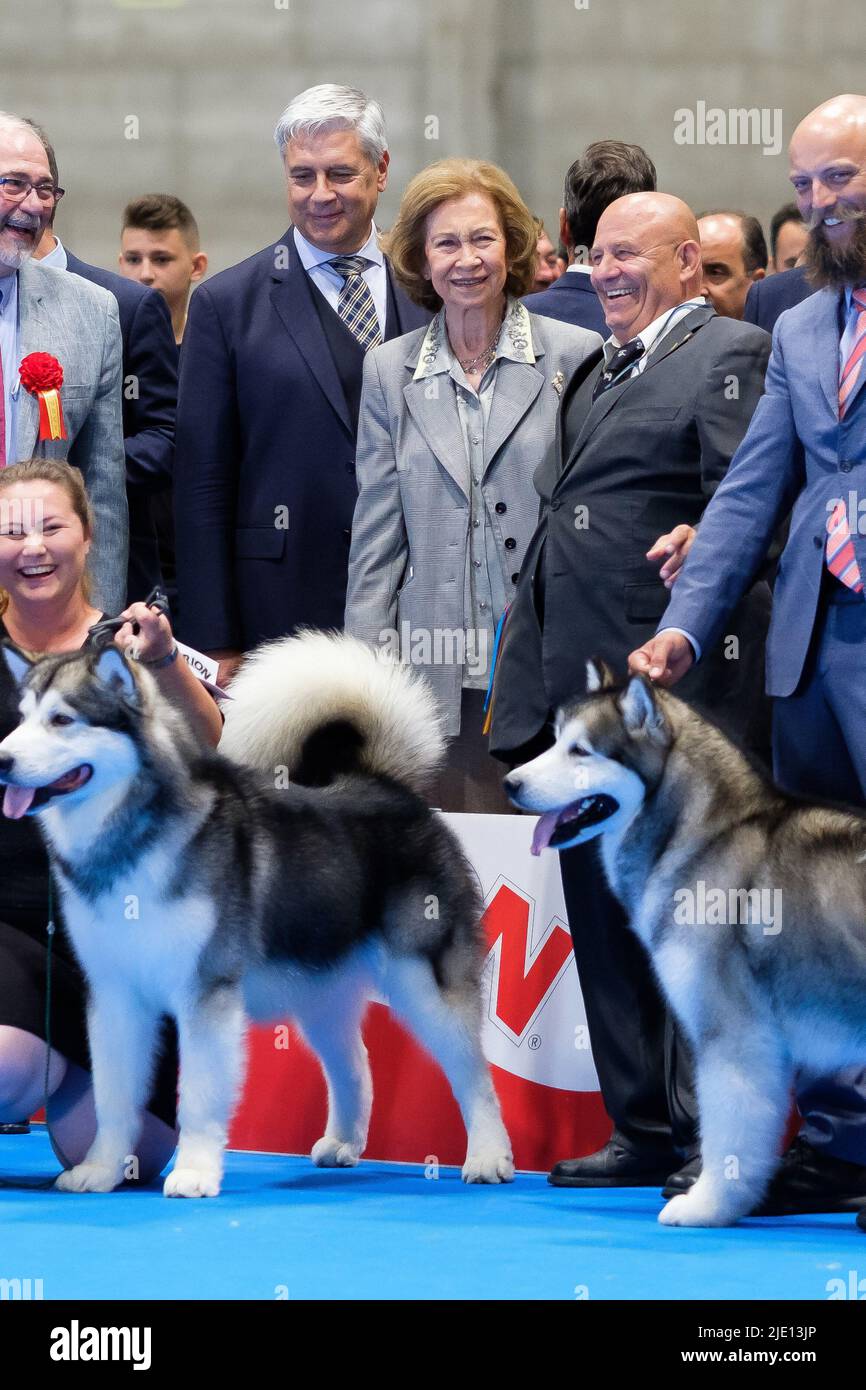 Spain queen dogs hires stock photography and images Alamy