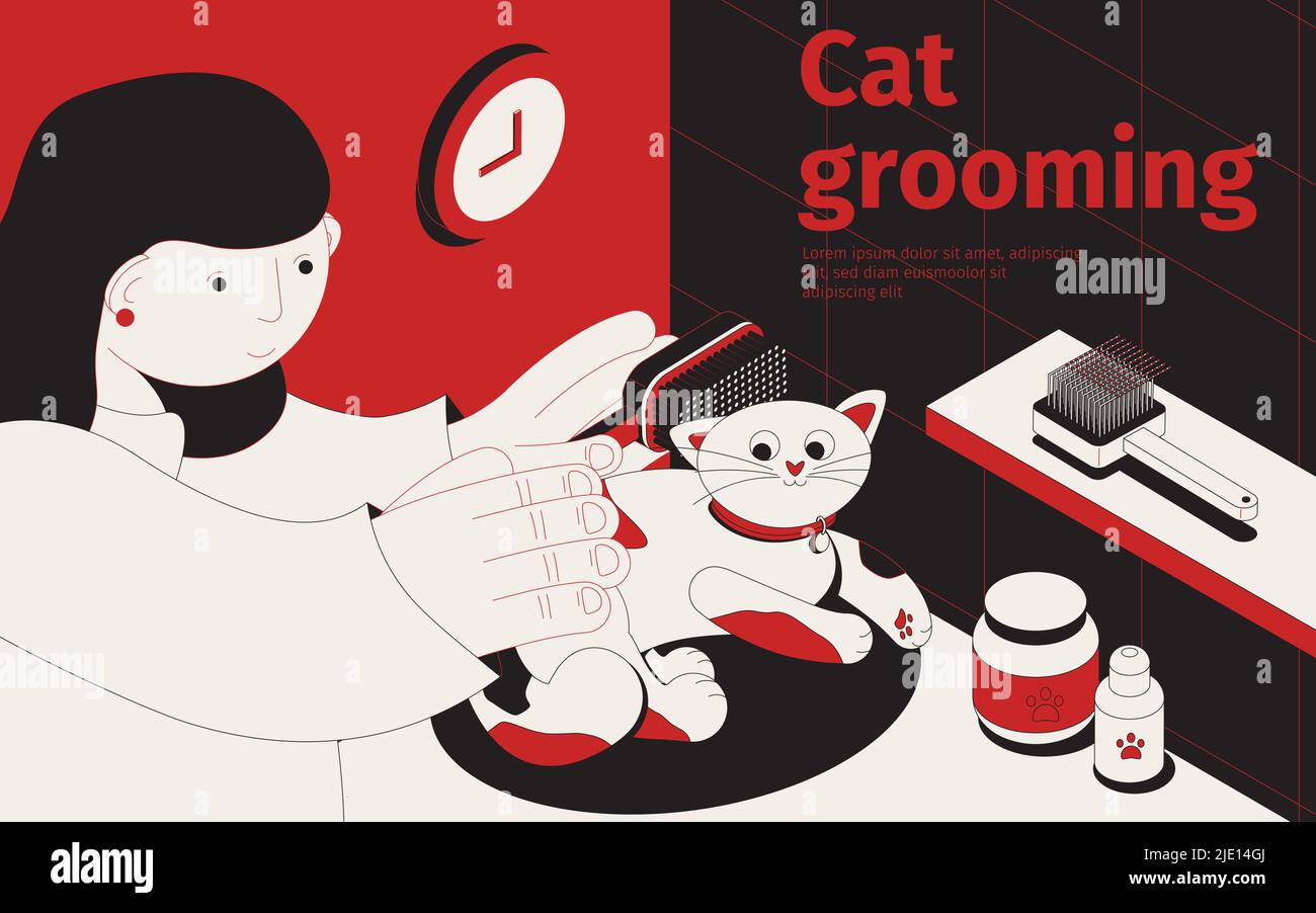 Car grooming isometric background with female human character touching