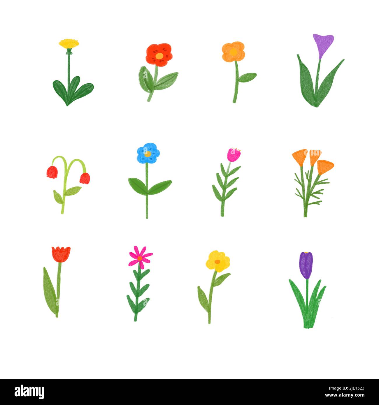 Hand drawn flowers set isolated on white background Stock Photo - Alamy