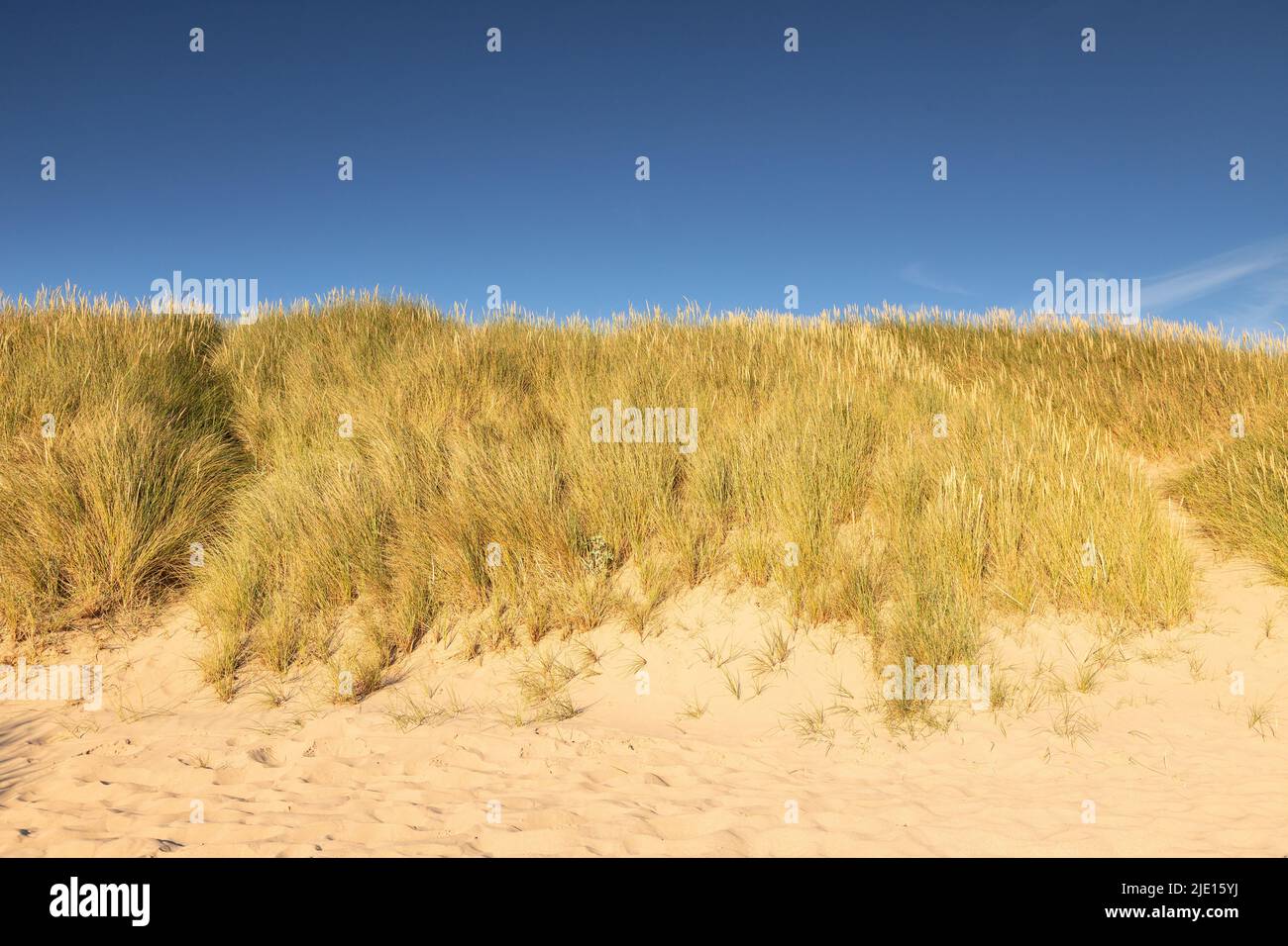Sand dune at Llandudno West Shore, North Wales coast Stock Photo