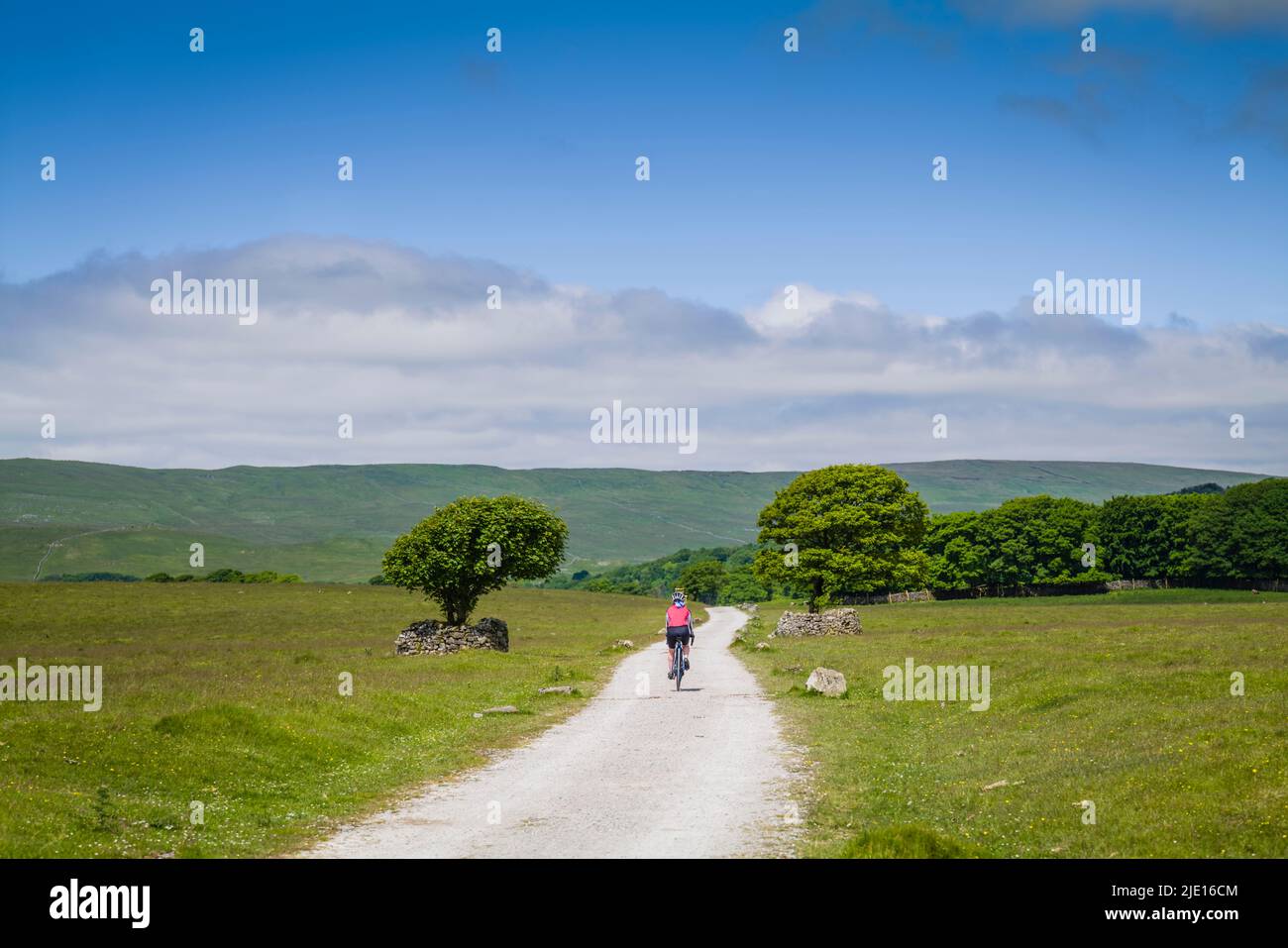 Female cyclist riding a gravel track around Malham Tarn, Yorkshire Dales, UK. Stock Photo