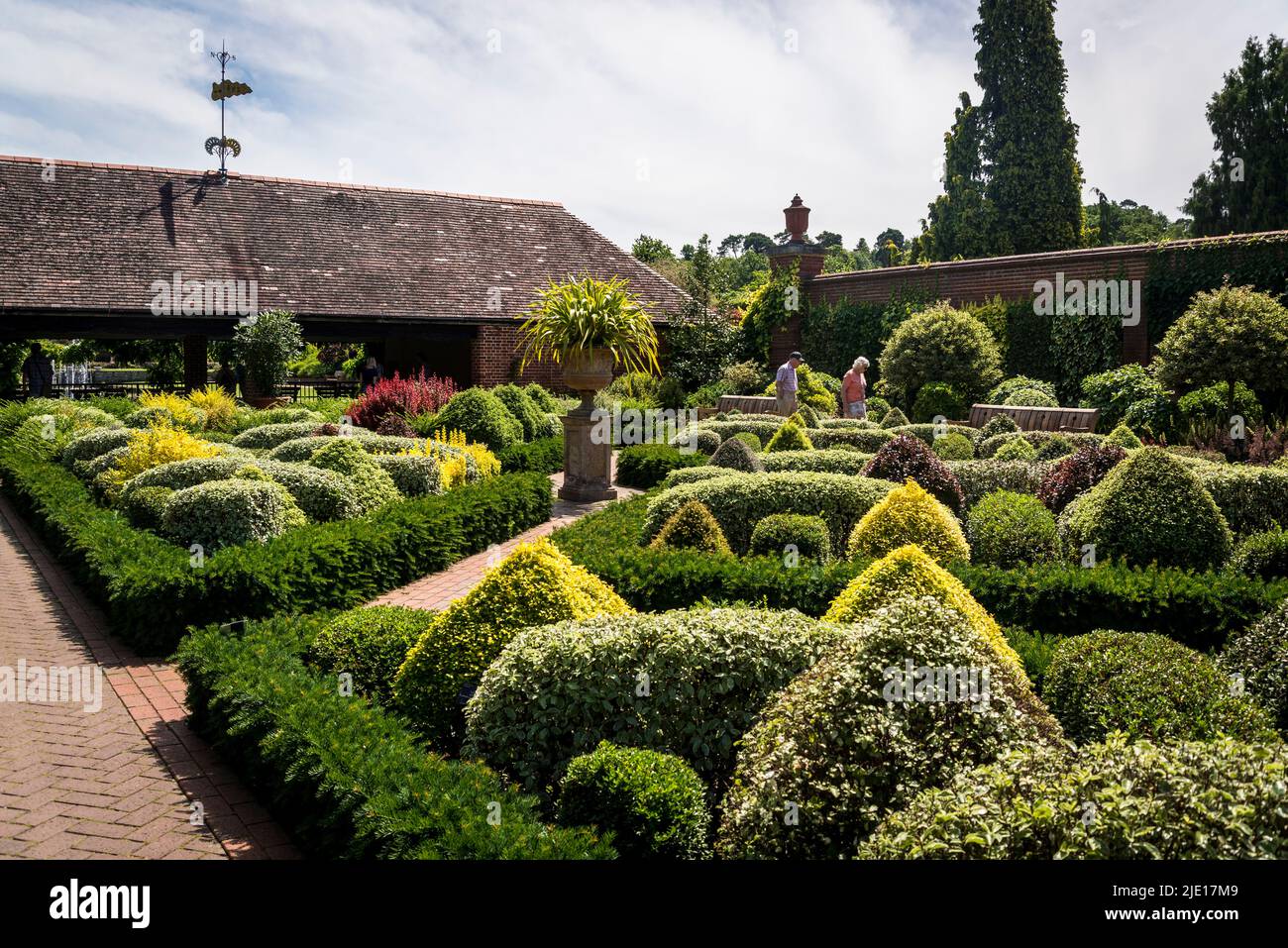 The knot garden with topiary shrubs,  RHS Wisley Garden, Surrey, England, UK Stock Photo