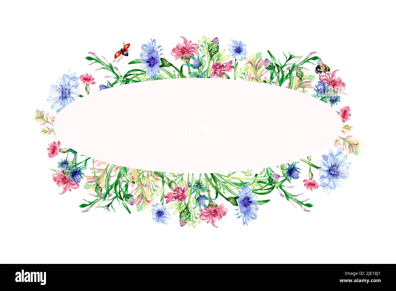 Frame with meadow colorful flowers, insects watercolor illustration isolated. Wildflowers, blue cornflower wreath hand painted. Design elements for gr Stock Photo