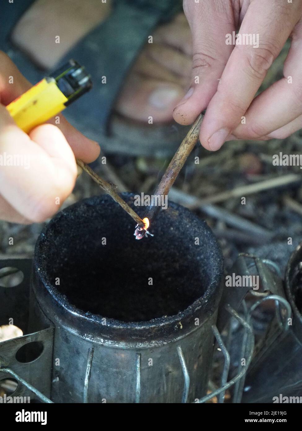 starting a bee smoker before harvesting honey hives in the farm Stock