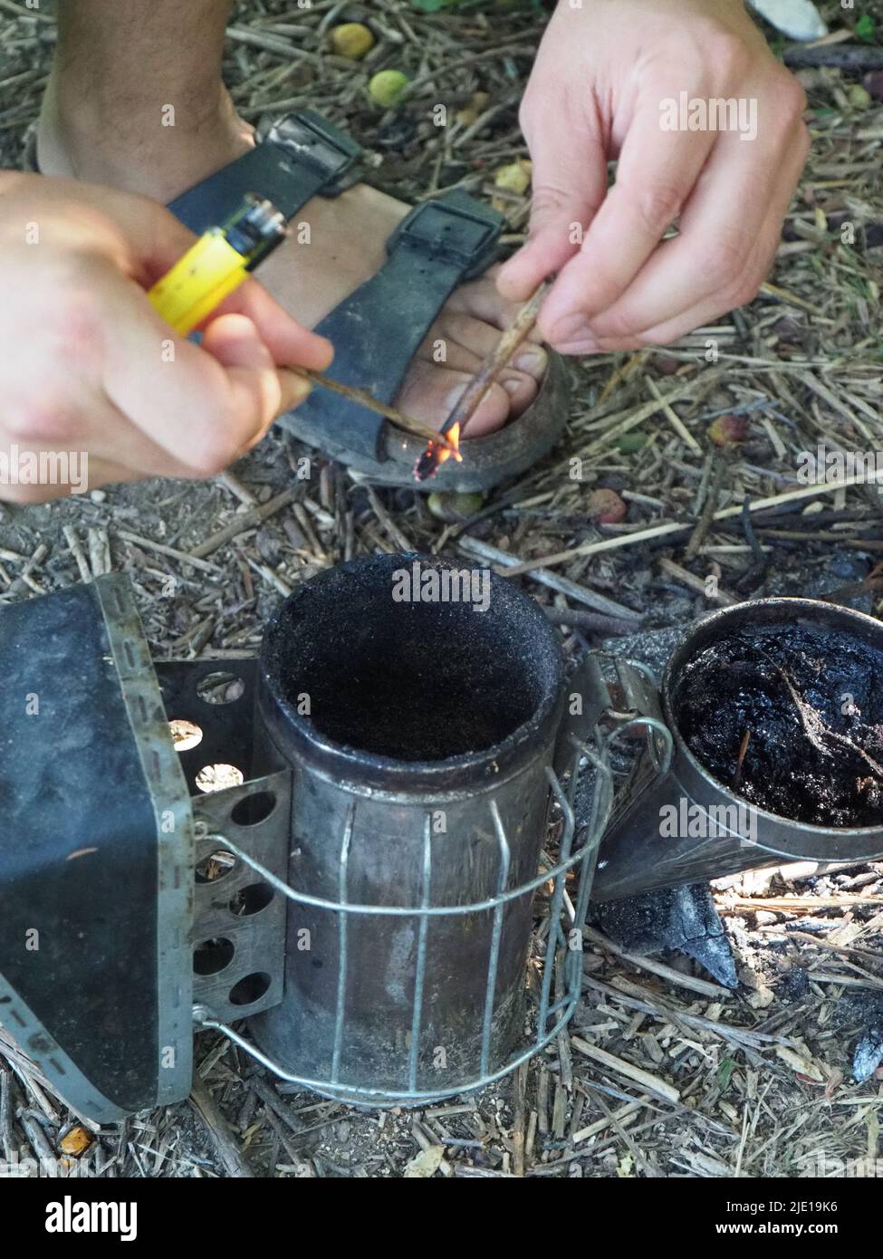 starting a bee smoker before harvesting honey hives in the farm Stock