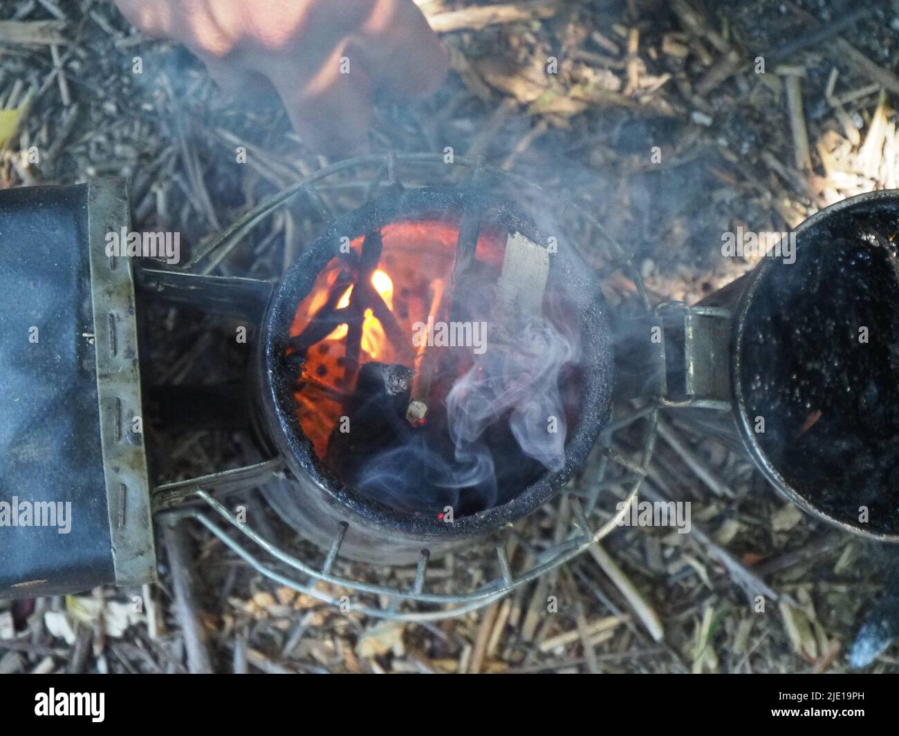 starting a bee smoker before harvesting honey hives in the farm Stock