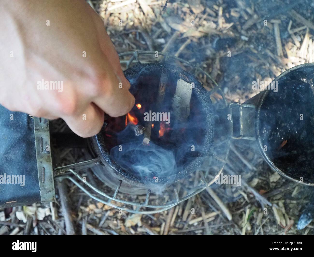 starting a bee smoker before harvesting honey hives in the farm Stock
