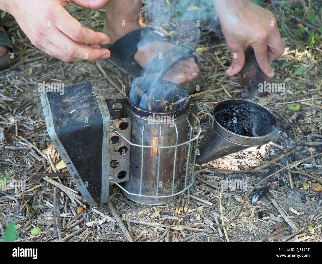 starting a bee smoker before harvesting honey hives in the farm Stock