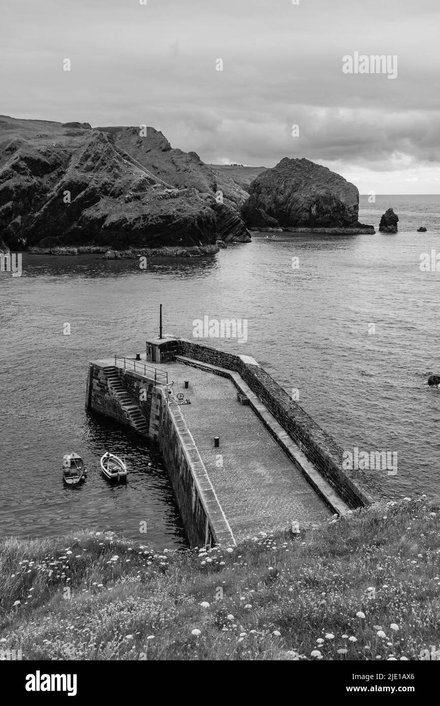 View of Mullion Cove Harbour, Cornwall on a June morning Stock Photo