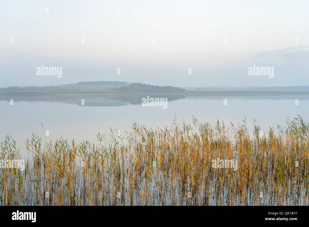 Misty morning at Nors Sø Lake in Denmark Stock Photo